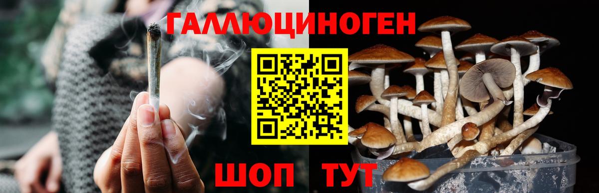 Галлюциногенные грибы MAGIC MUSHROOMS Кинель