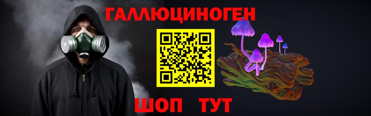 цена наркотик  Галлюциногенные грибы мухоморы  Вход с VPN  Псилоцибиновые грибы Psilocybine cubensis  Кинель 